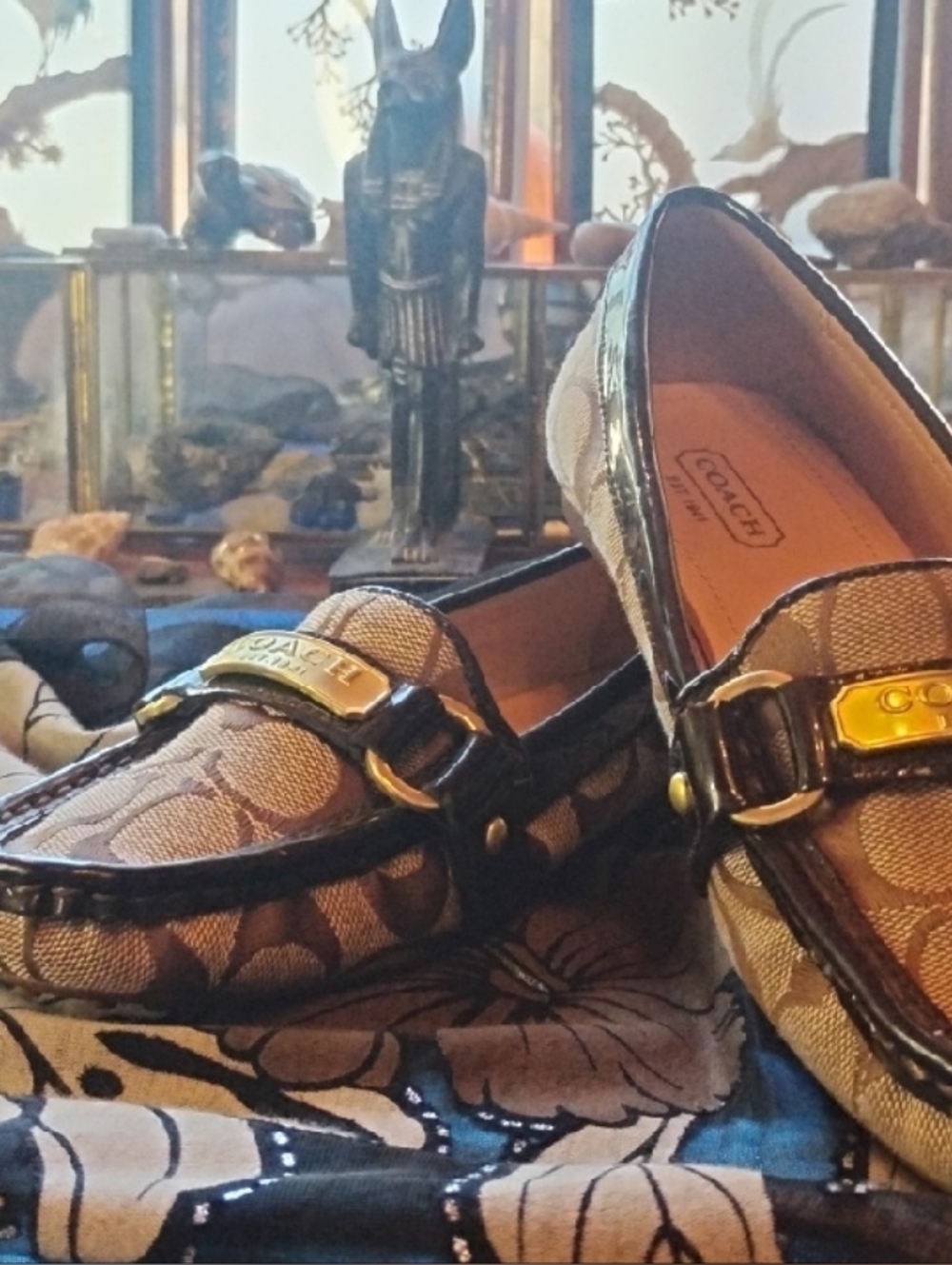 Coach Brown Signature Canvas Loafers with Dark Brown Trim - Picture 16 of 16